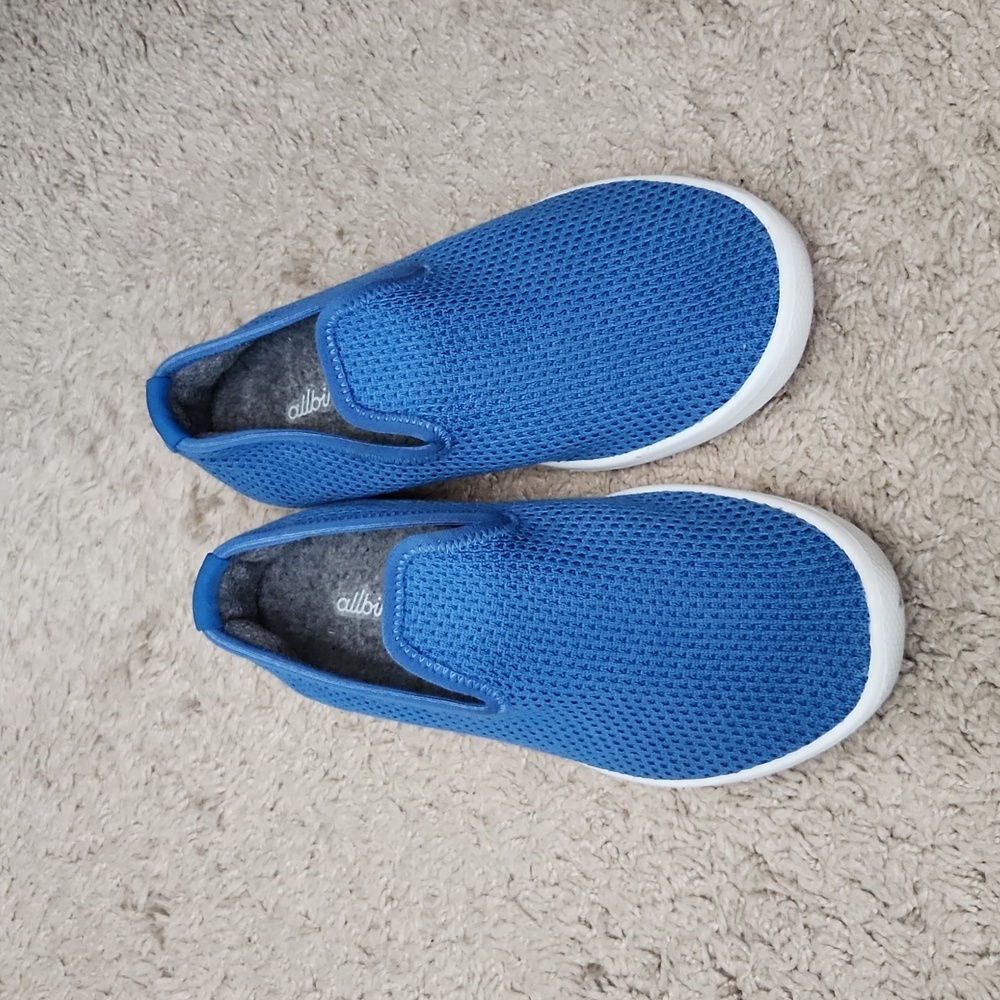 Allbirds Tree Loungers